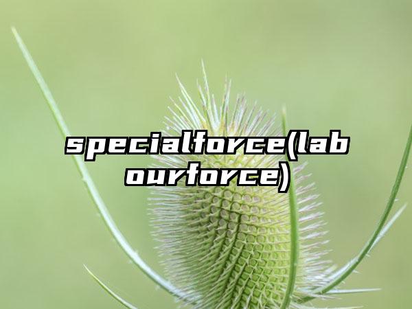 specialforce(labourforce)