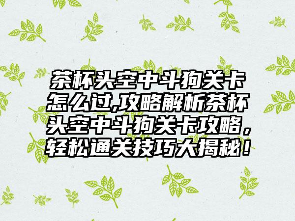 茶杯头空中斗狗关卡怎么过,攻略解析茶杯头空中斗狗关卡攻略，轻松通关技巧大揭秘！