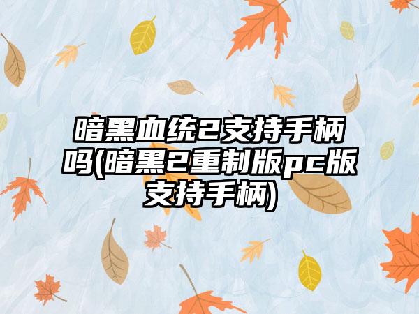 暗黑血统2支持手柄吗(暗黑2重制版pc版支持手柄)