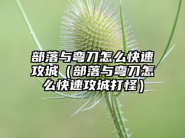 部落与弯刀怎么快速攻城（部落与弯刀怎么快速攻城打怪）