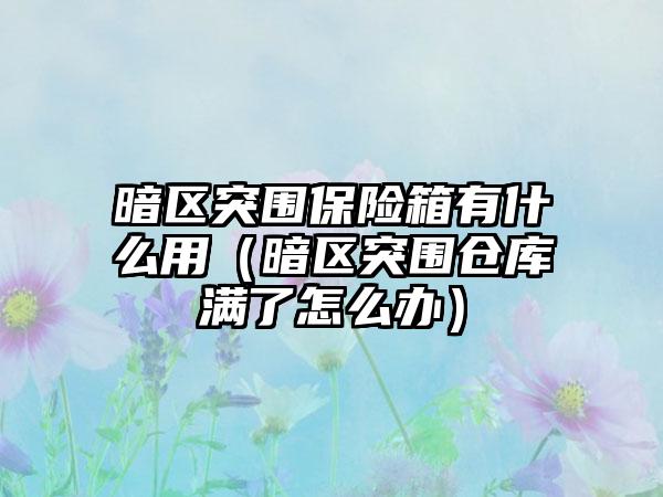 暗区突围保险箱有什么用（暗区突围仓库满了怎么办）