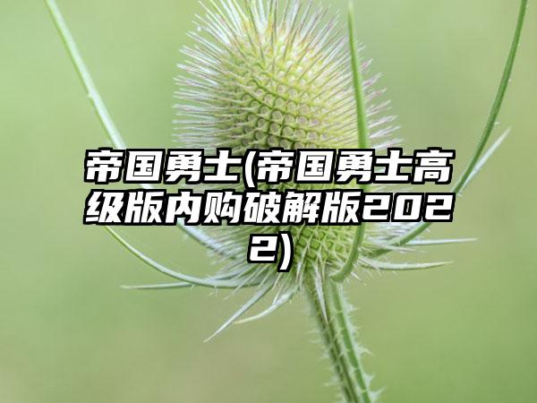 帝国勇士(帝国勇士高级版内购破解版2022)