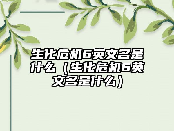 生化危机6英文名是什么（生化危机6英文名是什么）