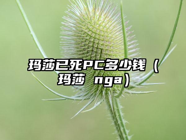 玛莎已死PC多少钱（玛莎 nga）
