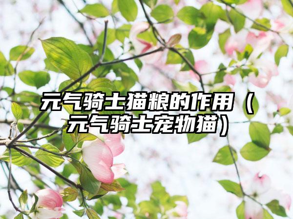 元气骑士猫粮的作用（元气骑士宠物猫）