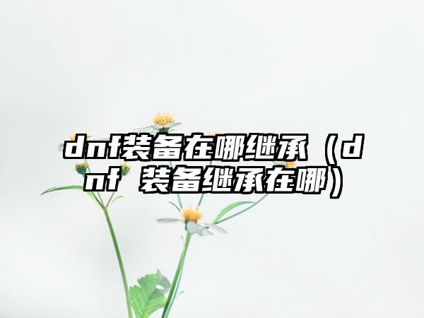 dnf装备在哪继承（dnf 装备继承在哪）