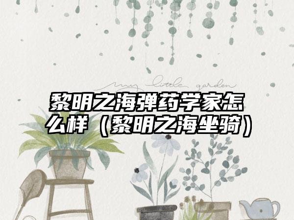 黎明之海弹药学家怎么样（黎明之海坐骑）