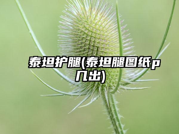泰坦护腿(泰坦腿图纸p几出)