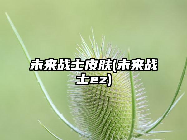 未来战士皮肤(未来战士ez)
