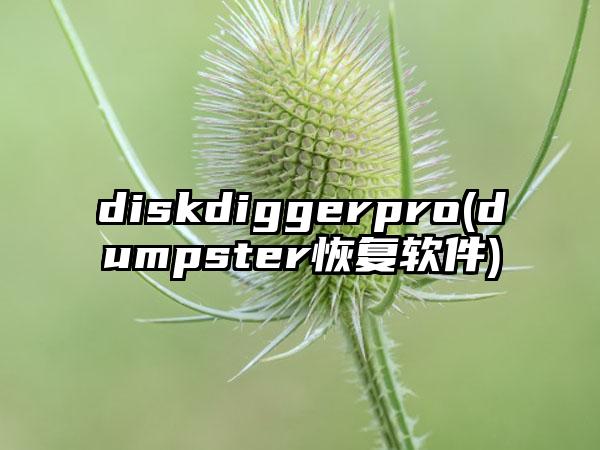 diskdiggerpro(dumpster恢复软件)