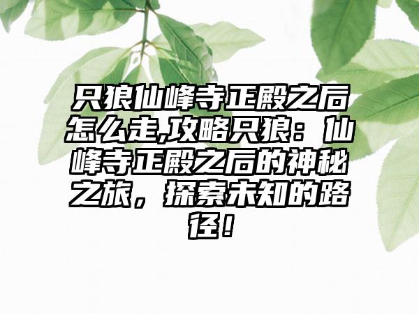 只狼仙峰寺正殿之后怎么走,攻略只狼：仙峰寺正殿之后的神秘之旅，探索未知的路径！