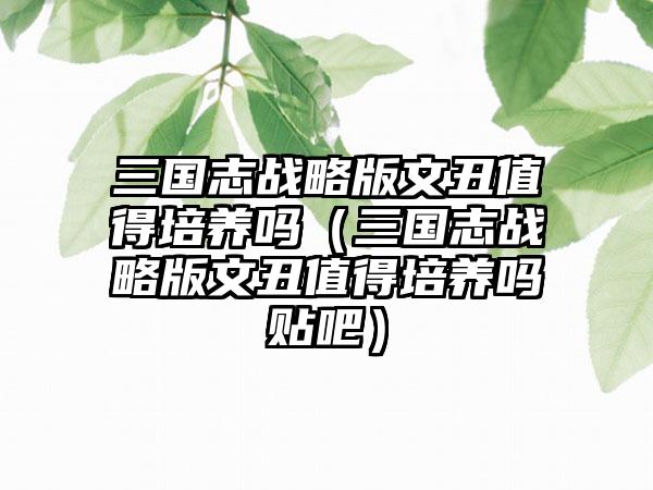 三国志战略版文丑值得培养吗（三国志战略版文丑值得培养吗贴吧）
