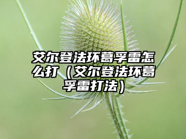 艾尔登法环葛孚雷怎么打（艾尔登法环葛孚雷打法）