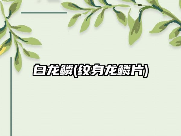 白龙鳞(纹身龙鳞片)