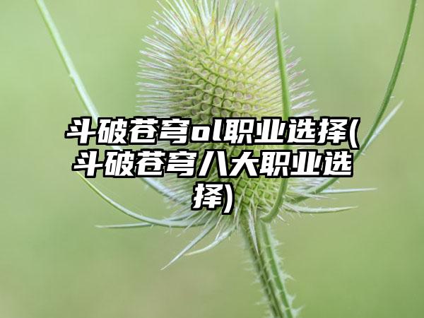 斗破苍穹ol职业选择(斗破苍穹八大职业选择)