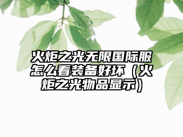 火炬之光无限国际服怎么看装备好坏（火炬之光物品显示）