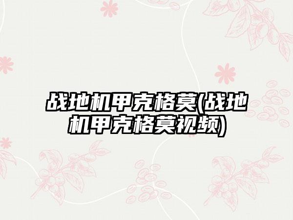 战地机甲克格莫(战地机甲克格莫视频)