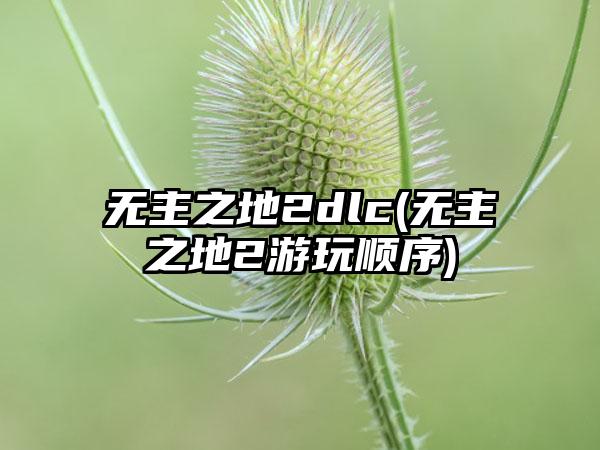 无主之地2dlc(无主之地2游玩顺序)