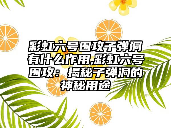 彩虹六号围攻子弹洞有什么作用,彩虹六号围攻：揭秘子弹洞的神秘用途