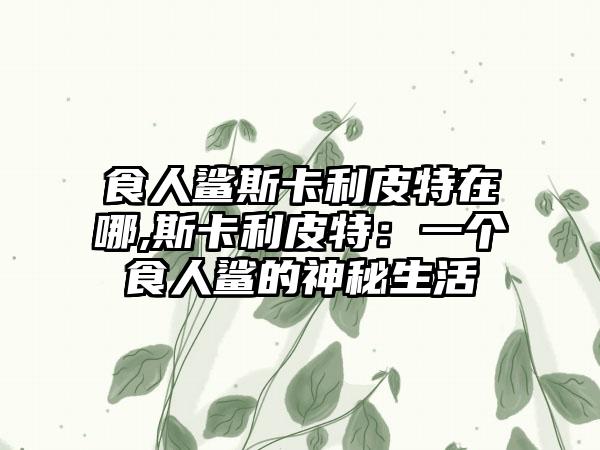 食人鲨斯卡利皮特在哪,斯卡利皮特：一个食人鲨的神秘生活