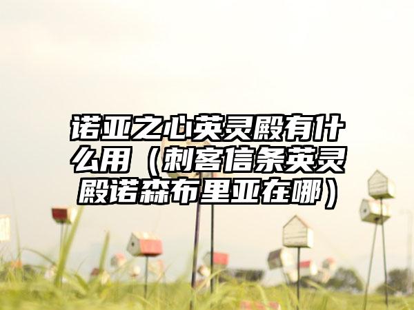 诺亚之心英灵殿有什么用（刺客信条英灵殿诺森布里亚在哪）