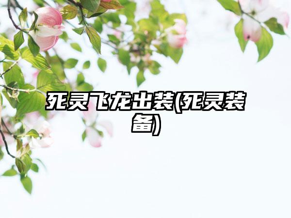 死灵飞龙出装(死灵装备)