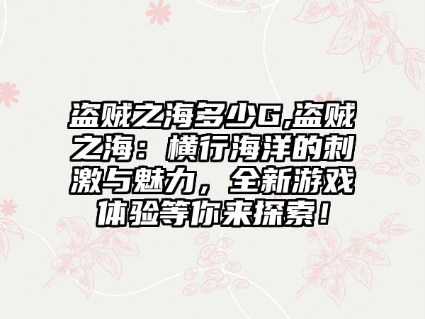 盗贼之海多少G,盗贼之海：横行海洋的刺激与魅力，全新游戏体验等你来探索！