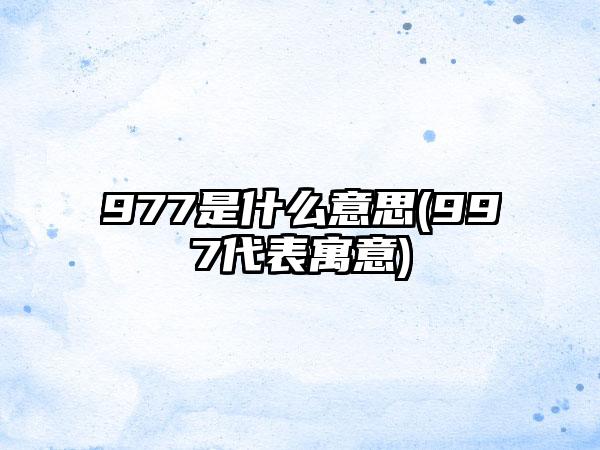 977是什么意思(997代表寓意)