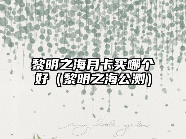 黎明之海月卡买哪个好（黎明之海公测）