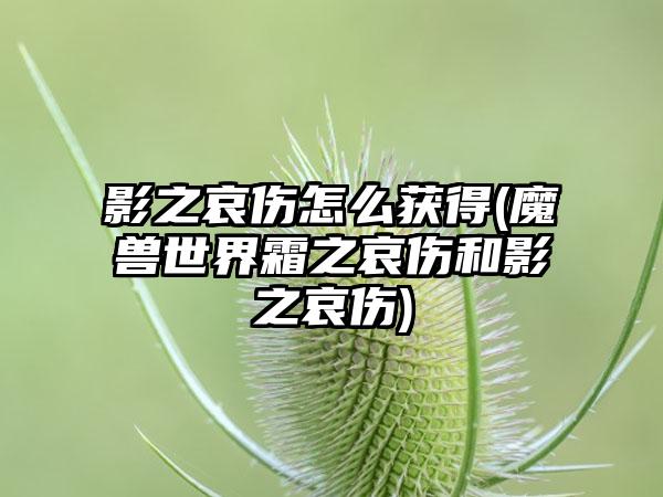影之哀伤怎么获得(魔兽世界霜之哀伤和影之哀伤)