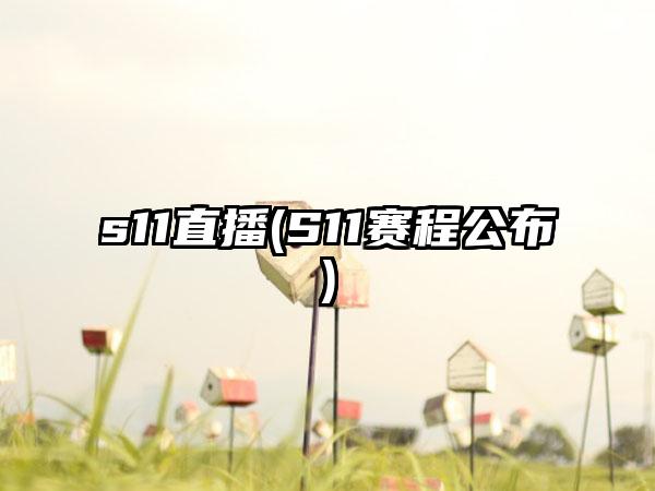s11直播(S11赛程公布)