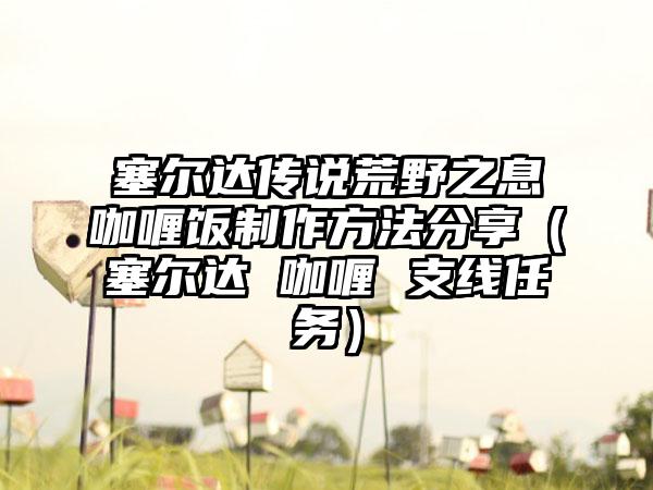 塞尔达传说荒野之息咖喱饭制作方法分享（塞尔达 咖喱 支线任务）