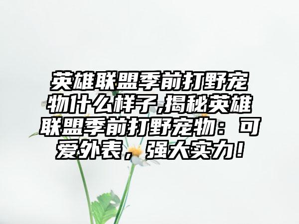 英雄联盟季前打野宠物什么样子,揭秘英雄联盟季前打野宠物：可爱外表，强大实力！