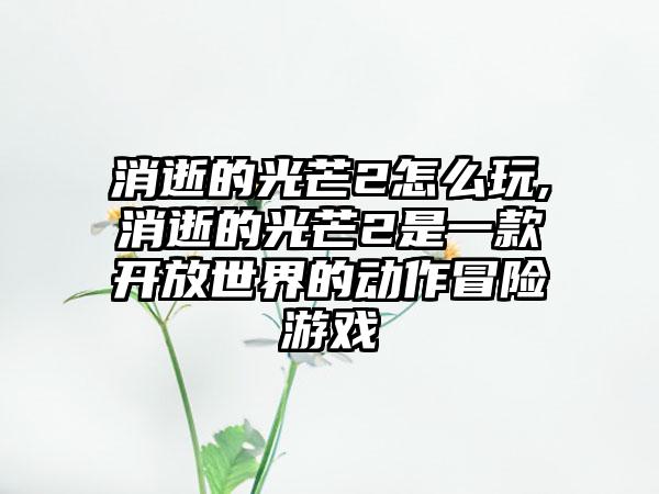 消逝的光芒2怎么玩,消逝的光芒2是一款开放世界的动作冒险游戏
