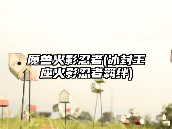 魔兽火影忍者(冰封王座火影忍者羁绊)