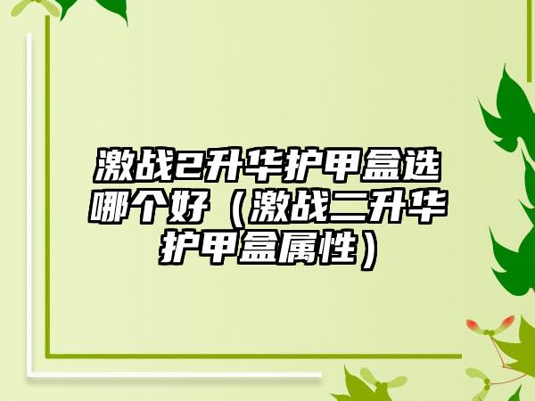 激战2升华护甲盒选哪个好（激战二升华护甲盒属性）