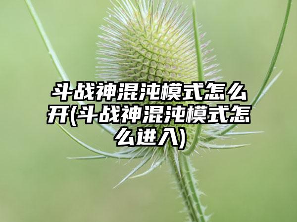 斗战神混沌模式怎么开(斗战神混沌模式怎么进入)