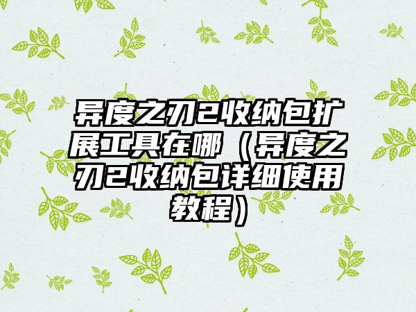 异度之刃2收纳包扩展工具在哪（异度之刃2收纳包详细使用教程）