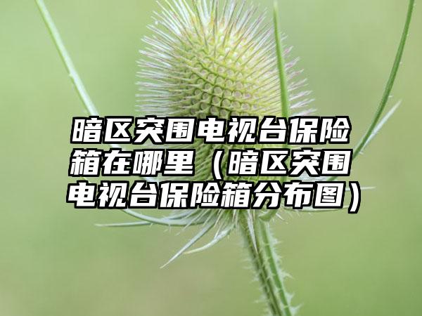 暗区突围电视台保险箱在哪里（暗区突围电视台保险箱分布图）