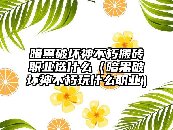 暗黑破坏神不朽搬砖职业选什么（暗黑破坏神不朽玩什么职业）