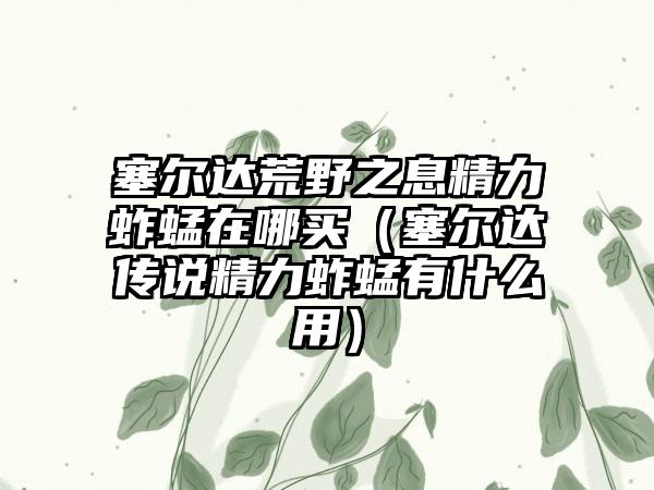 塞尔达荒野之息精力蚱蜢在哪买（塞尔达传说精力蚱蜢有什么用）