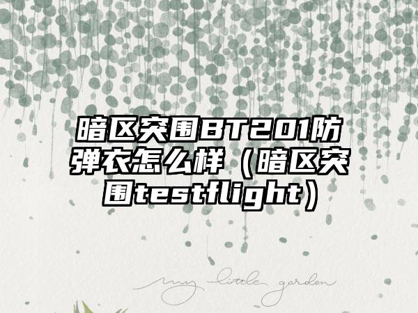 暗区突围BT201防弹衣怎么样（暗区突围testflight）