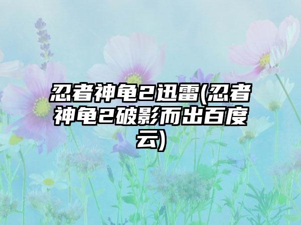 忍者神龟2迅雷(忍者神龟2破影而出百度云)