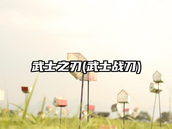 武士之刃(武士战刀)