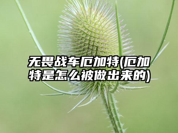 无畏战车厄加特(厄加特是怎么被做出来的)