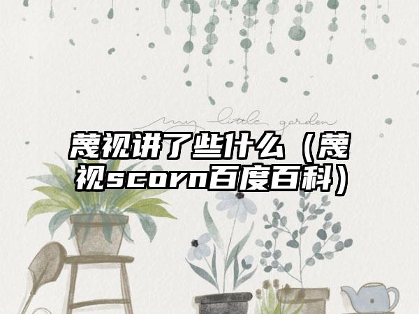 蔑视讲了些什么（蔑视scorn百度百科）