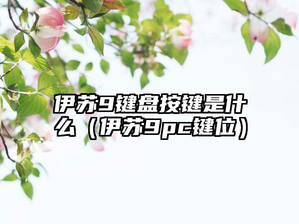 伊苏9键盘按键是什么（伊苏9pc键位）
