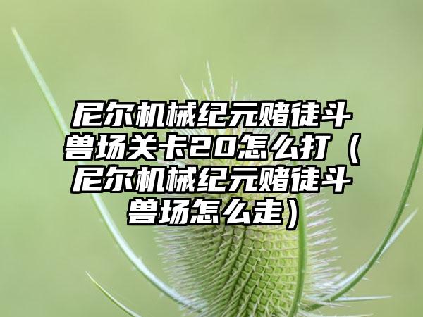 尼尔机械纪元赌徒斗兽场关卡20怎么打（尼尔机械纪元赌徒斗兽场怎么走）