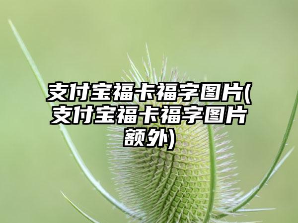 支付宝福卡福字图片(支付宝福卡福字图片额外)