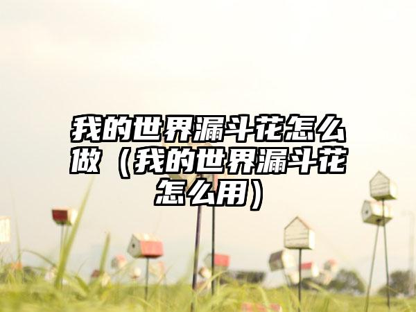 我的世界漏斗花怎么做（我的世界漏斗花怎么用）